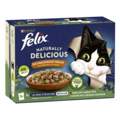 Felix Naturally Delicious Vom Hof 10x80G